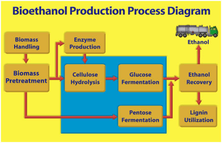 Bioethanol Production Process Diagram